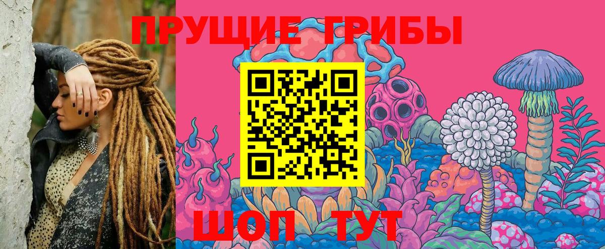 Владимир  Псилоцибиновые грибы мицелий  Вход с VPN  Галлюциногенные грибы мицелий 